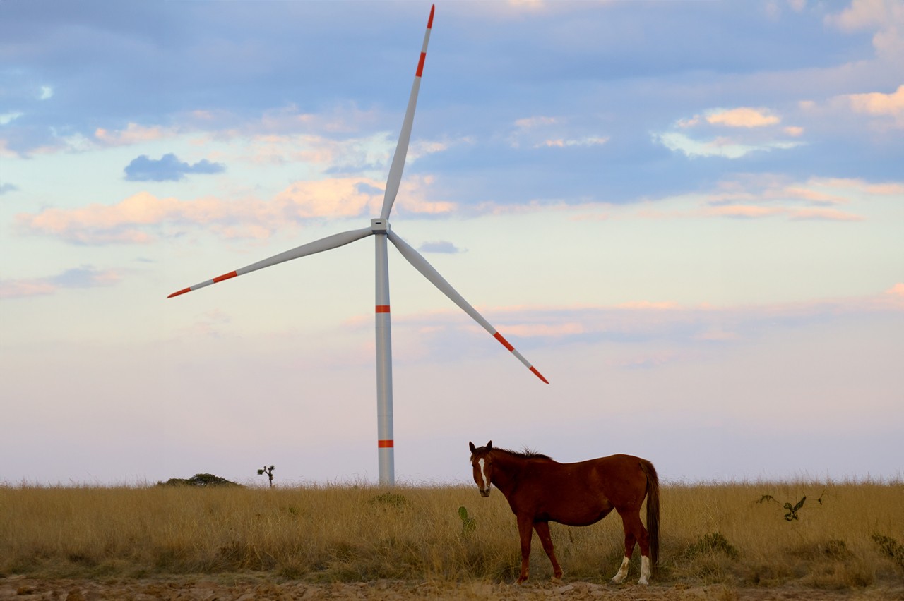 What are renewable energies, and what benefits do they bring us